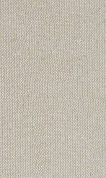 Bosch Professional Expert M480 Schleifnetz für Schwingschleifer, 80 x 133 mm, G 220, 10-tlg. (2608900739)