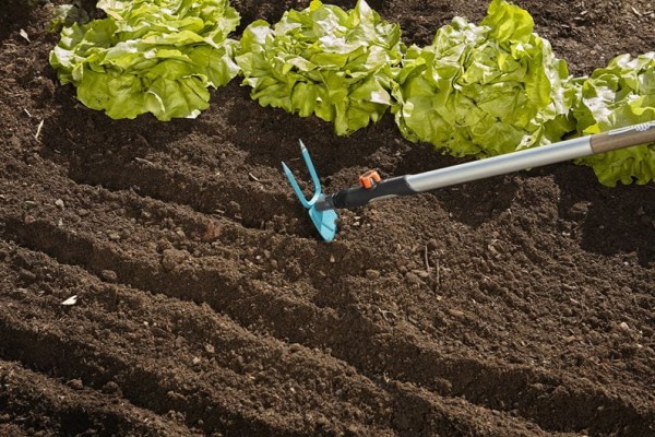 Gardena cs-Gartenhacke herzförmig 7 cm, 2 Zinken (3215-20)